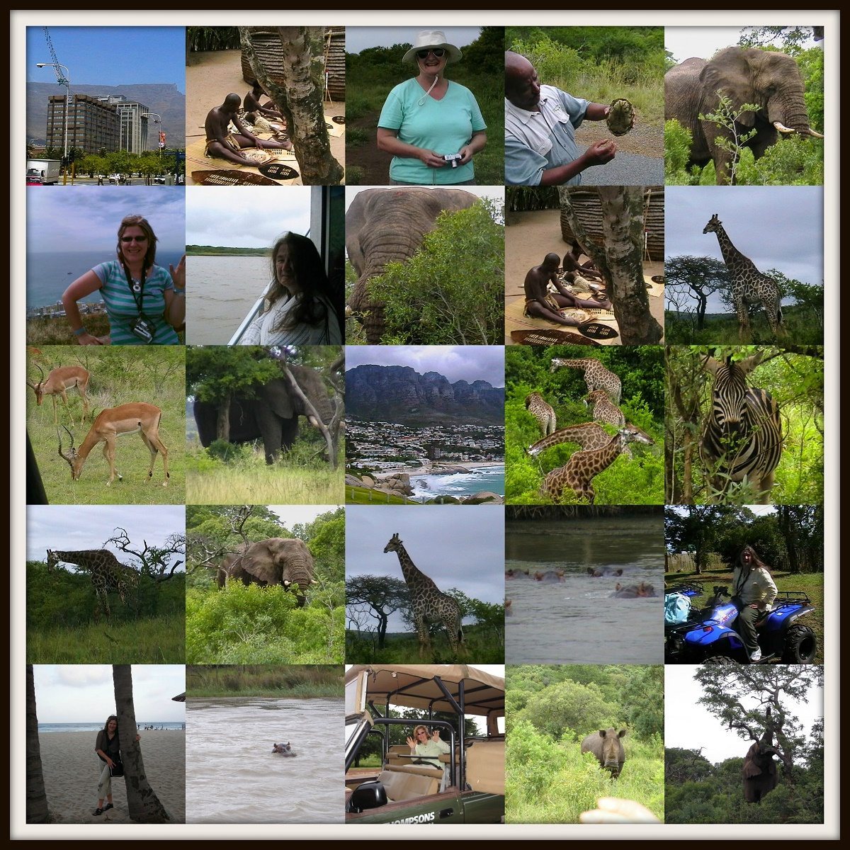 south africa collage