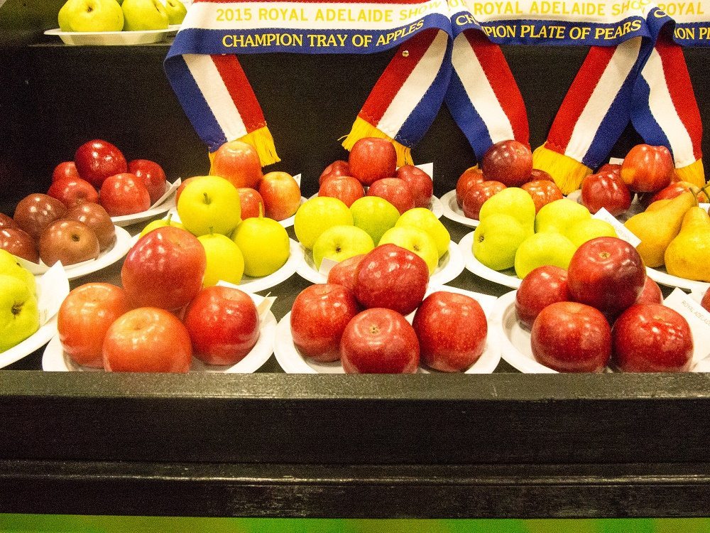 fruit at the Royal Adelaide show